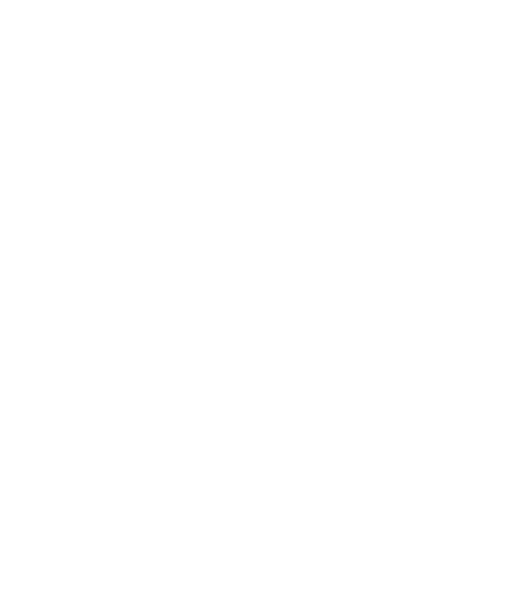 1. La IEP permite la corrección o reconfiguración de las estructuras relacionales o sostenibilidad, que definen la estrategia decisional de la organización, de acuerdo al logro de objetivos estratégicos. 2. La IEP está concebida para identificar, neutralizar, degradar y/o reconfigurar la red relacional de información que genera las singularidades, en la coordinación y cohesión, afectando la calidad en la comunicación y generando el desperdicio en la gestión. La corrección, anticipación, y/o eliminación de eventos disruptivos, (singularidades) permite que el valor se propague en la red organizacional. 3. La IEP se basa en integrar holoredes (estructuras decisionales y procesos) mediante relaciones de diversidad conectiva, variedad y variabilidad, a esta estructura la hemos definido como SISTEMA VIABLE RELACIONAL (SVR) 4. La IEP permite medir y gestionar el rendimiento de la organización a partir de indicadores de Confiabilidad, Disponibilidad y Factibilidad en el sistema de redes relacionales. 5. La IEP al lograr medir la sostenibilidad de la red (la calidad relacional) nos entrega información de: COHERENCIA: Alineación con la estrategia declarada por el Gerente Genera (red ejecutiva, no incluye al Gerente General), en términos de su entendimiento, cercanía en la forma de la toma de decisiones estratégicas y niveles de confianza existentes. CONGRUENCIA: Alineación con la estrategia como un todo (red ejecutiva que incluye al Gerente General), en términos de entendimiento de la estrategia, cercanía en la forma de la toma de decisiones estratégicas y niveles de confianza existentes. 6. La IEP permite evaluar tanto, el grado de rechazo, de la red relacional, frente a la introducción de un nuevo concepto, proceso o de cambio organizacional como la estrategia de apertura. 7. La IEP permite diseñar y propagar estrategias Políticas, Económicas, Sociales y Técnicas (PEST) para generar procesos de alienación estratégica. 