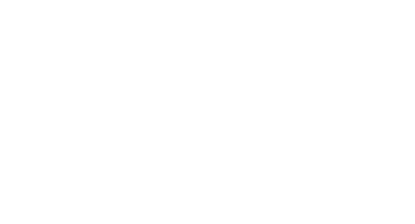 DIAGNÓSTICO DE VIABILIDAD ORGANIZACIONAL Evaluar el grado de encaje entre el ámbito de sostenibilidad y sustentabilidad en la estructura decisional de la Gerencia en relación con las metas de productividad.